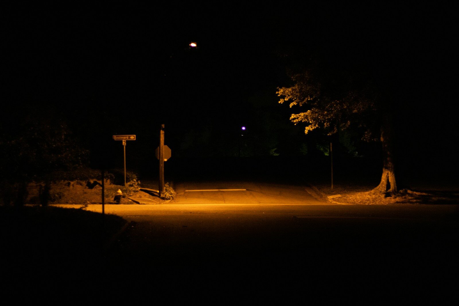 road near trees