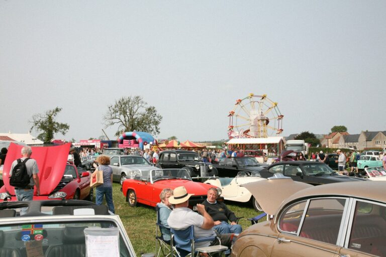 A crowd of people standing around a car show